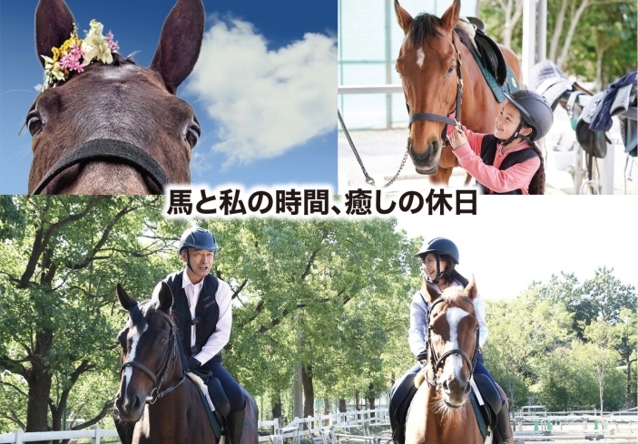 「乗馬クラブクレイン北大阪」緑豊かな自然の中での馬と触れ合いは、精神的な癒しがあります。
