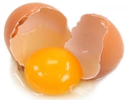 脂肪肝完治 薄毛解消も １日３個の卵 がカラダを変える トオチカヘルスケアのニュース まいぷれ 米子