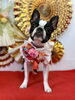 ぽんちゃん「Happy New Year」
