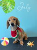 「お友達♡Dog salon mofu mofu 余市町」