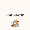 まつい整骨院お役立ち情報『ミネラルの働き‼』「『ミネラルの働き‼』【福井/坂井市/三国町/まつい整骨院/お役立ち情報/『ミネラルの働き‼』/腰痛/膝痛/アトピー性皮膚炎】」