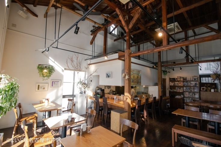 「gallery+cafe blanka」堀川沿いにたたずむ、アートとカフェが交差する場所