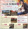 平野の丘からの眺望は穏やかな気持ちになれます「川西 観瀧山 岡本寺（こうほんじ）」