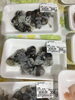 「魚魚市場鮮魚コーナーおすすめは「のどぐろ・ミミイカ」です」