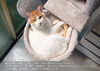 「猫と人が心地よく暮らすための住まいづくり」