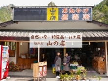 山の店