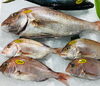「魚魚市場鮮魚コーナーおすすめは「甘エビ・天然ヒラメ」です♪」