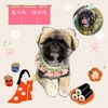「Dog salon mofu mofu　余市町」