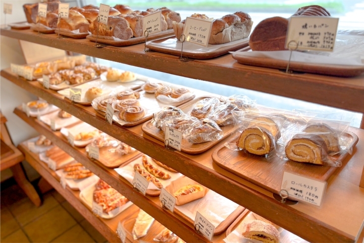 「fresh bakery ドン・キホーテ」しっとり・もちもち食感続く、丁寧な手作りパンが100種類以上