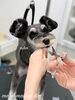 「秋のオプションキャンペーン　（＾ν＾）」