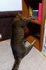 「✡食欲の秋✡」