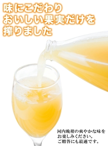 「愛南町の柑橘名人の果汁100%ジュースギフト」