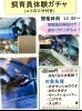 「遊んで学べる体験・観光スポット⛲️かすみがうら市水族館より、週末イベントのお知らせ🐟」