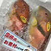 「魚魚市場鮮魚コーナーおすすめは「養殖ヒラス・水イカ」です♪」