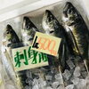 「魚魚市場鮮魚コーナーおすすめは「レンコ鯛・アジ」です♪」