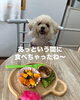 「収納講座　キッチン編　盛り上がりました！」