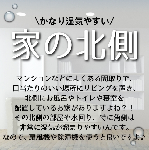 気になる 家の湿気のこと 合同会社りぶふるのニュース まいぷれ 江戸川区