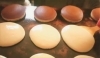音季菓子処 青柳