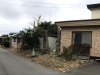庭木伐採のシーズンです 彡 千歳の便利屋のニュース まいぷれ 千歳 恵庭