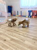 一緒にボール遊び　「ましゅまろ幼稚園　(^-^)」