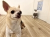 米＆豆　😁「ましゅまろ幼稚園🐾」