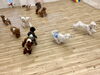 わーい💨「ましゅまろ幼稚園🐾」