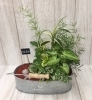 寄せ植え（観葉植物）「♬お盆花　寄せ植え♬」
