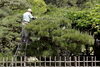 「空き家・空き地・農地の管理もお任せください！草刈りから伐採まで即日対応・無料見積もり受付中」