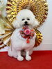 おもちくん「Happy New Year」