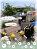 ゴミ収集車がんばれー！！「あおむしの『あおくん』d(^_^o)【交野市・小規模保育園】」