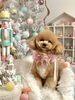ぷぷちゃん「MerryXmas🎄」