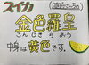 「金色羅王（黄色スイカ）　　鉾田市直売所」