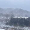 「雪の日はバナナがお買得⁈道の駅木曽福島」