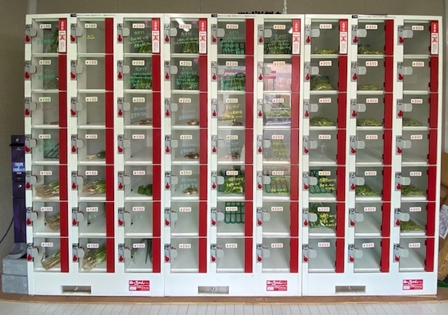 船橋市 まいぷれ