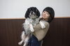 「「無料デイサービスの老犬さん達のために、優しい床に張り替えたい！」を地域で一緒に叶えませんか？クラウドファディングで支援の呼びかけです！」