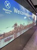 「英検準1級合格から1年間で英検1級に合格する方法を教えます」