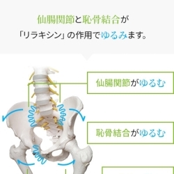 産前 産後の骨盤矯正 ごとう鍼灸整骨院のニュース まいぷれ 宮崎