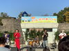 結成から27年！セミプロ「SUDDENCOOL」「秋晴れ快晴の11月3日（祝・木）イベントのはしごをしてきました！」