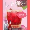 遠別町でしそ梅酒が新発売！オロロンラインのお土産にどうぞ！