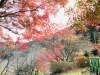 「【おすすめ週末の過ごし方】砥部町で絵付け体験＆公園！」