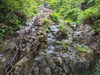 「【西条市 西之川】石鎚山、そして天狗岳へ行ってきました！」