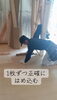 確かな技術で”想い”をカタチに「庄原市東城町・K様邸｜大工が仕上げるフローリング張り工事が進行中です」