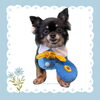 「Dog salon mofu mofu　余市町」