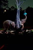 ナイトサファリ「研修3日目後半」