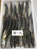 鯵「本日鮮魚入荷致しました。」
