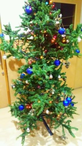「玄関にクリスマスツリー」