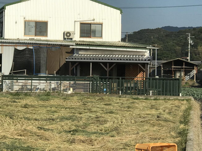 木部、防腐作用を兼ねて塗装、屋根材は、折半❗️「住まいの困り事、お任せ下さい❗️今回は、ヤギさんの住まいの困り事ヤギさんの想いをカタチに施工させて頂き完成❗️」