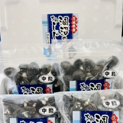 冷凍しじみ（中粒）400ｇ×4セット