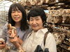 「8月はキクラゲ狩り！」