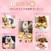 「わんわんフォトコンテスト結果発表♪」